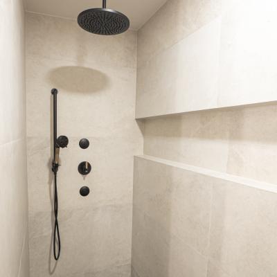 Shower 1